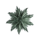 Helena Advent Star 44 cm Green
