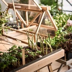Växthus Greenhouse Ask