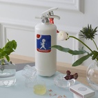 Brannslukker 2 kg hvit med originalt Solstickan-emblem
