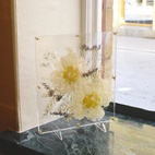 Blomsterpresse Ängsfälla Vindu