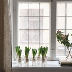 Vase Keeper Struktur S