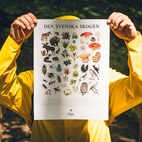 Spel Memo Skogen
