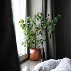 Kruka Wet Pot M