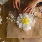 Blomsterpresse Ängsfälla Vindu